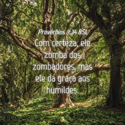 Picture 04 - Provérbios 3:34 BSL - Com certeza, ele zomba dos zombadores, mas ele - Bible Verse Picture