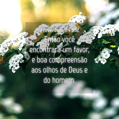 Picture 04 - Provérbios 3:4 BSL - Então você encontrará um favor, e boa - Bible Verse Picture