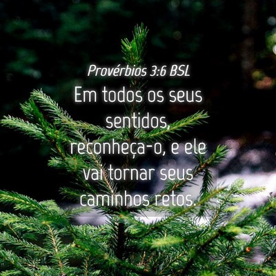 Picture 04 - Provérbios 3:6 BSL - Em todos os seus sentidos, reconheça-o, e ele - Bible Verse Picture