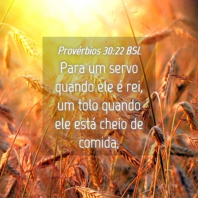 Picture 04 - Provérbios 30:22 BSL - Para um servo quando ele é rei, um tolo quando - Bible Verse Picture