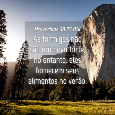 Picture 04 - Provérbios 30:25 BSL - As formigas não são um povo forte, no entanto, - Bible Verse Picture