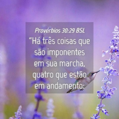 Picture 04 - Provérbios 30:29 BSL - “Há três coisas que são imponentes em sua - Bible Verse Picture