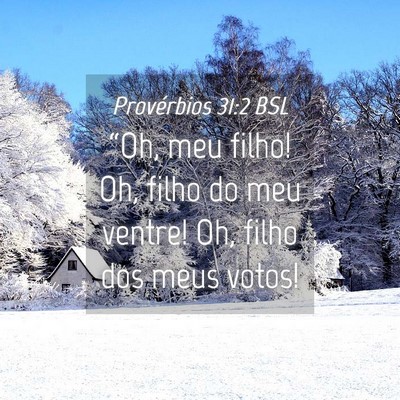 Picture 04 - Provérbios 31:2 BSL - “Oh, meu filho! Oh, filho do meu ventre! Oh, - Bible Verse Picture