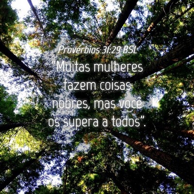 Picture 04 - Provérbios 31:29 BSL - “Muitas mulheres fazem coisas nobres, mas você - Bible Verse Picture