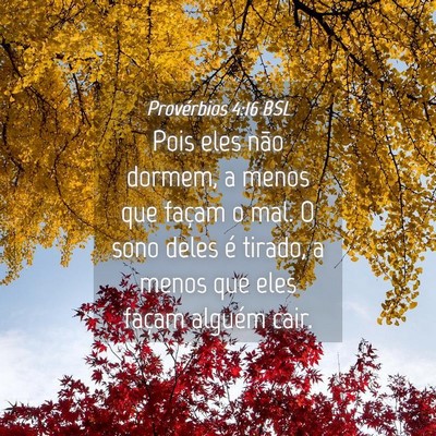 Picture 04 - Provérbios 4:16 BSL - Pois eles não dormem, a menos que façam o mal. - Bible Verse Picture
