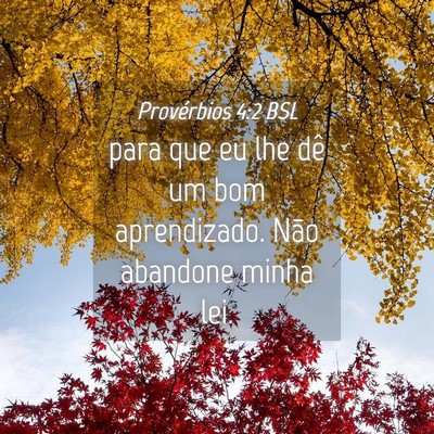 Picture 04 - Provérbios 4:2 BSL - para que eu lhe dê um bom aprendizado. Não - Bible Verse Picture
