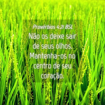 Picture 04 - Provérbios 4:21 BSL - Não os deixe sair de seus olhos. Mantenha-os no - Bible Verse Picture