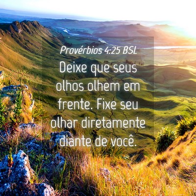 Picture 04 - Provérbios 4:25 BSL - Deixe que seus olhos olhem em frente. Fixe seu - Bible Verse Picture