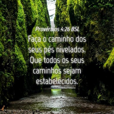 Picture 04 - Provérbios 4:26 BSL - Faça o caminho dos seus pés nivelados. Que - Bible Verse Picture