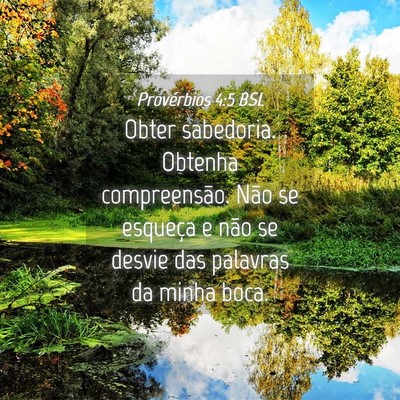Picture 04 - Provérbios 4:5 BSL - Obter sabedoria. Obtenha compreensão. Não se - Bible Verse Picture