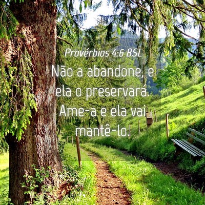 Picture 04 - Provérbios 4:6 BSL - Não a abandone, e ela o preservará. Ame-a e ela - Bible Verse Picture