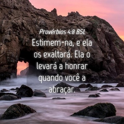 Picture 04 - Provérbios 4:8 BSL - Estimem-na, e ela os exaltará. Ela o levará a - Bible Verse Picture