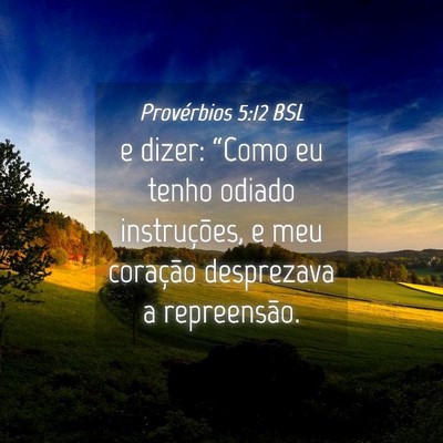 Picture 04 - Provérbios 5:12 BSL - e dizer: “Como eu tenho odiado instruções, e - Bible Verse Picture
