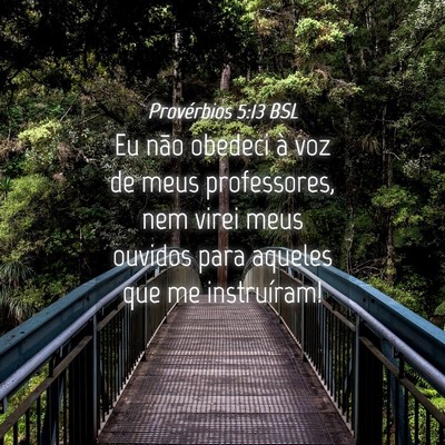 Picture 04 - Provérbios 5:13 BSL - Eu não obedeci à voz de meus professores, nem - Bible Verse Picture