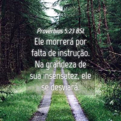 Picture 04 - Provérbios 5:23 BSL - Ele morrerá por falta de instrução. Na - Bible Verse Picture