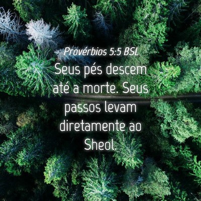 Picture 04 - Provérbios 5:5 BSL - Seus pés descem até a morte. Seus passos levam - Bible Verse Picture