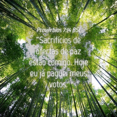 Picture 04 - Provérbios 7:14 BSL - “Sacrifícios de ofertas de paz estão comigo. - Bible Verse Picture