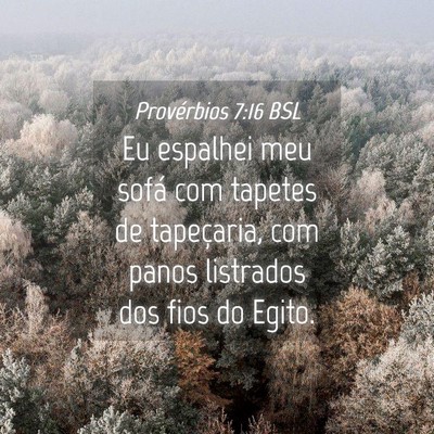 Picture 04 - Provérbios 7:16 BSL - Eu espalhei meu sofá com tapetes de tapeçaria, - Bible Verse Picture