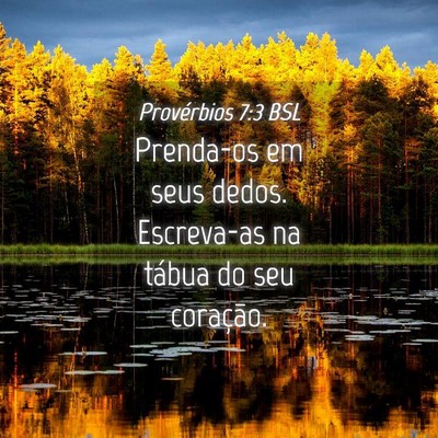 Picture 04 - Provérbios 7:3 BSL - Prenda-os em seus dedos. Escreva-as na tábua do - Bible Verse Picture