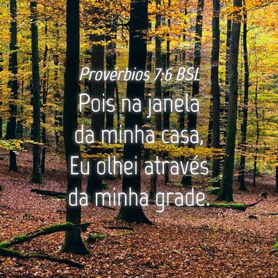Picture 04 - Provérbios 7:6 BSL - Pois na janela da minha casa, Eu olhei através - Bible Verse Picture