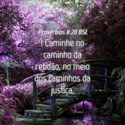 Picture 04 - Provérbios 8:20 BSL - I Caminhe no caminho da retidão, no meio dos - Bible Verse Picture