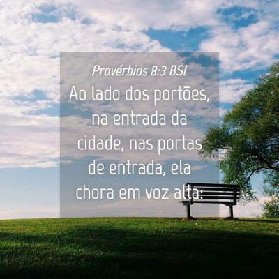 Picture 04 - Provérbios 8:3 BSL - Ao lado dos portões, na entrada da cidade, nas - Bible Verse Picture