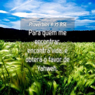 Picture 04 - Provérbios 8:35 BSL - Para quem me encontrar, encontra vida, e obterá - Bible Verse Picture