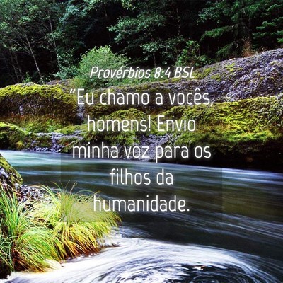 Picture 04 - Provérbios 8:4 BSL - “Eu chamo a vocês, homens! Envio minha voz - Bible Verse Picture