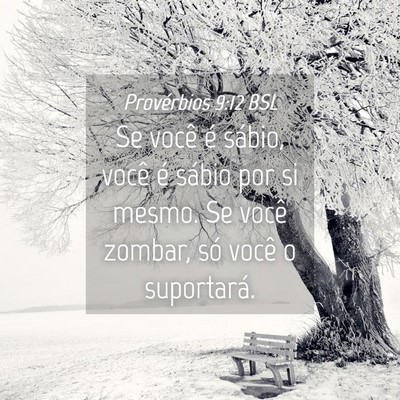 Picture 04 - Provérbios 9:12 BSL - Se você é sábio, você é sábio por si mesmo. - Bible Verse Picture