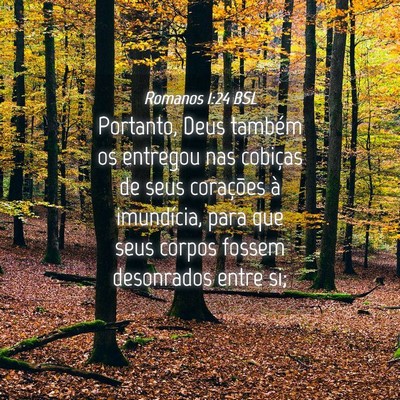 Picture 04 - Romanos 1:24 BSL - Portanto, Deus também os entregou nas cobiças - Bible Verse Picture