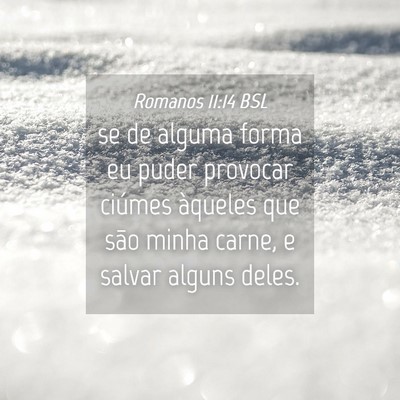Picture 04 - Romanos 11:14 BSL - se de alguma forma eu puder provocar ciúmes - Bible Verse Picture