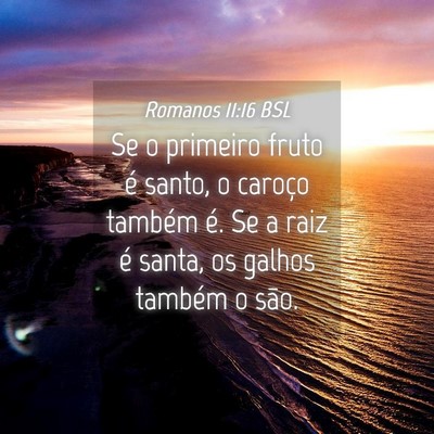 Picture 04 - Romanos 11:16 BSL - Se o primeiro fruto é santo, o caroço também - Bible Verse Picture