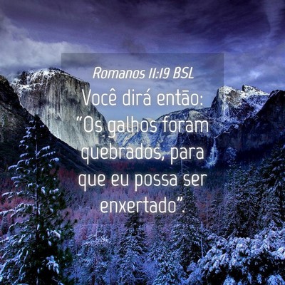 Picture 04 - Romanos 11:19 BSL - Você dirá então: “Os galhos foram quebrados, - Bible Verse Picture