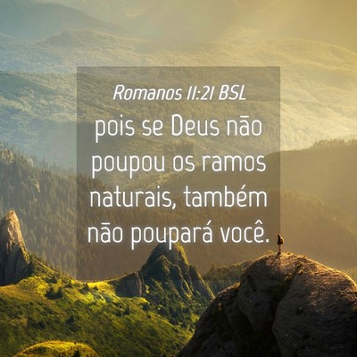 Picture 04 - Romanos 11:21 BSL - pois se Deus não poupou os ramos naturais, - Bible Verse Picture