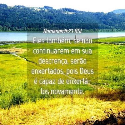 Picture 04 - Romanos 11:23 BSL - Eles também, se não continuarem em sua - Bible Verse Picture