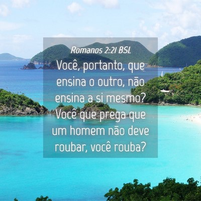 Picture 04 - Romanos 2:21 BSL - Você, portanto, que ensina o outro, não ensina - Bible Verse Picture