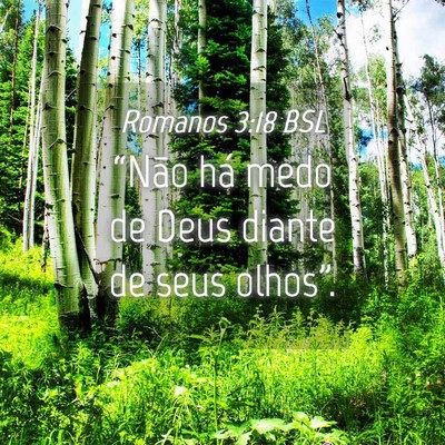 Picture 04 - Romanos 3:18 BSL - “Não há medo de Deus diante de seus - Bible Verse Picture