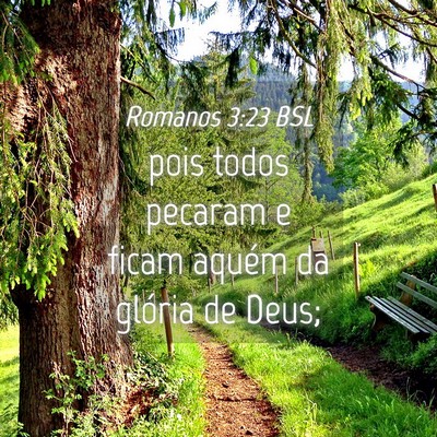 Picture 04 - Romanos 3:23 BSL - pois todos pecaram e ficam aquém da glória de - Bible Verse Picture