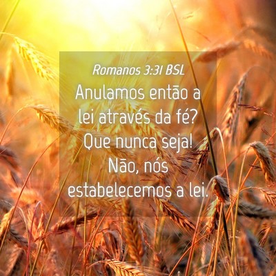 Picture 04 - Romanos 3:31 BSL - Anulamos então a lei através da fé? Que nunca - Bible Verse Picture