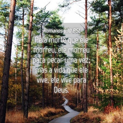 Picture 04 - Romanos 6:10 BSL - Pela morte que ele morreu, ele morreu para pecar - Bible Verse Picture