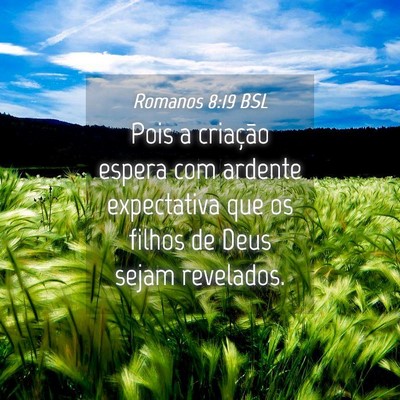 Picture 04 - Romanos 8:19 BSL - Pois a criação espera com ardente expectativa - Bible Verse Picture
