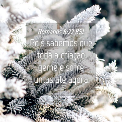 Picture 04 - Romanos 8:22 BSL - Pois sabemos que toda a criação geme e sofre - Bible Verse Picture