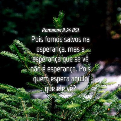Picture 04 - Romanos 8:24 BSL - Pois fomos salvos na esperança, mas a esperança - Bible Verse Picture
