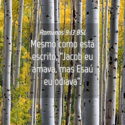 Picture 04 - Romanos 9:13 BSL - Mesmo como está escrito, “Jacob eu amava, mas - Bible Verse Picture