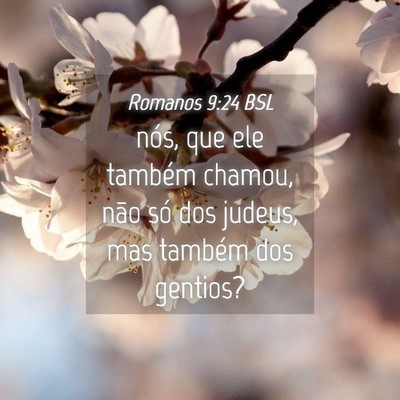 Picture 04 - Romanos 9:24 BSL - nós, que ele também chamou, não só dos - Bible Verse Picture