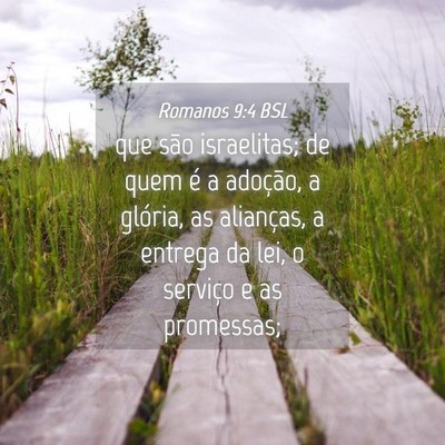Picture 04 - Romanos 9:4 BSL - que são israelitas; de quem é a adoção, a - Bible Verse Picture