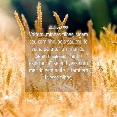 Picture 04 - Rute 1:12 BSL - Voltem, minhas filhas, sigam seu caminho, pois - Bible Verse Picture
