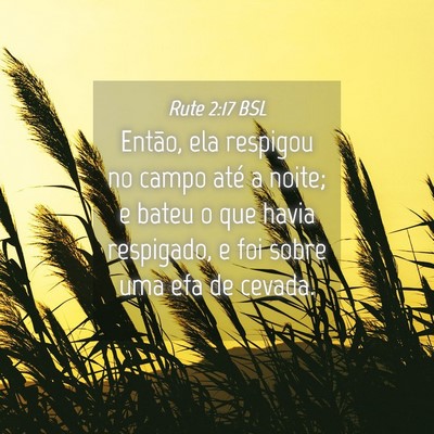 Picture 04 - Rute 2:17 BSL - Então, ela respigou no campo até a noite; e - Bible Verse Picture