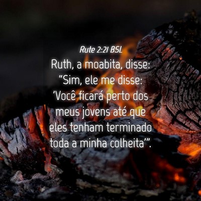 Picture 04 - Rute 2:21 BSL - Ruth, a moabita, disse: “Sim, ele me disse: - Bible Verse Picture