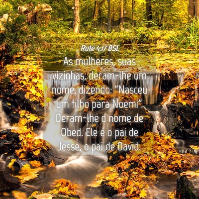 Picture 04 - Rute 4:17 BSL - As mulheres, suas vizinhas, deram-lhe um nome, - Bible Verse Picture